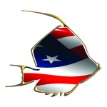 GraphiteFish 3x3 150dpi Flag