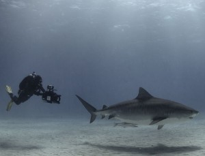 Becky Schott follows tiger 2014 by Gerardo del Villar 548A5452