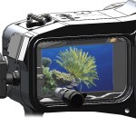 LCD Window 2