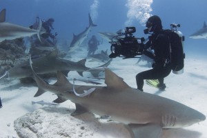 becky with lemons by Paul Spielvogel