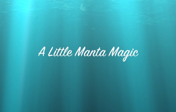 A Little Manta Magic