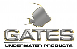 GatesLogoSteelTallMaster300dpi