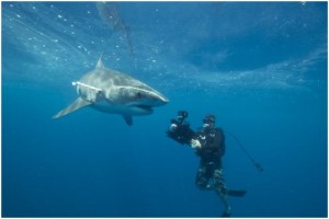 Richard Fitzpatrick Gates 1