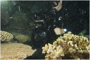 Richard Fitzpatrick Gates 2