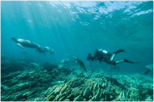 Richard Fitzpatrick Gates 3