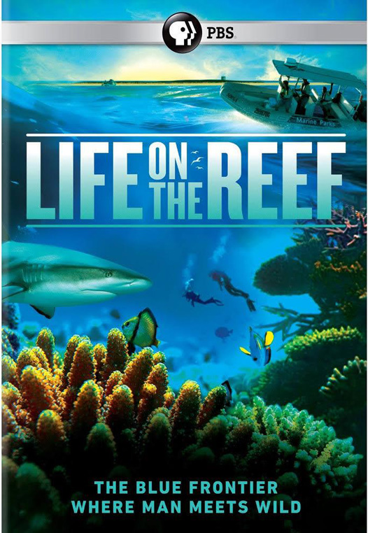 020 – Life on the Reef