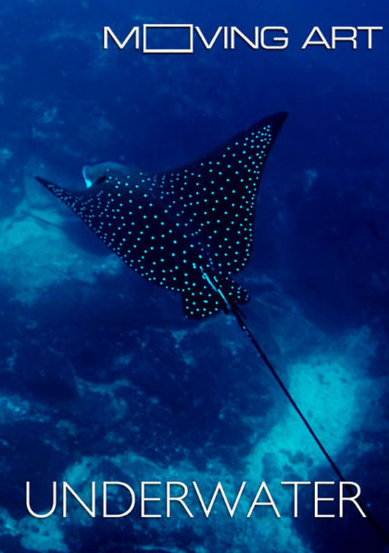 030 – Moving Art Underwater