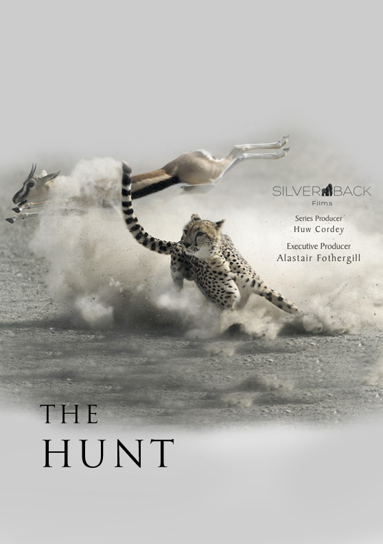 033 The Hunt