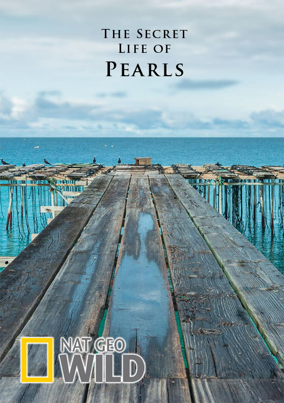 The Secret Life of Pearls