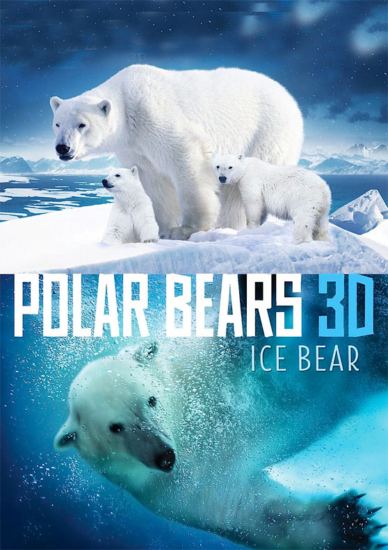 065 Polar Bears 3D Ice Bear