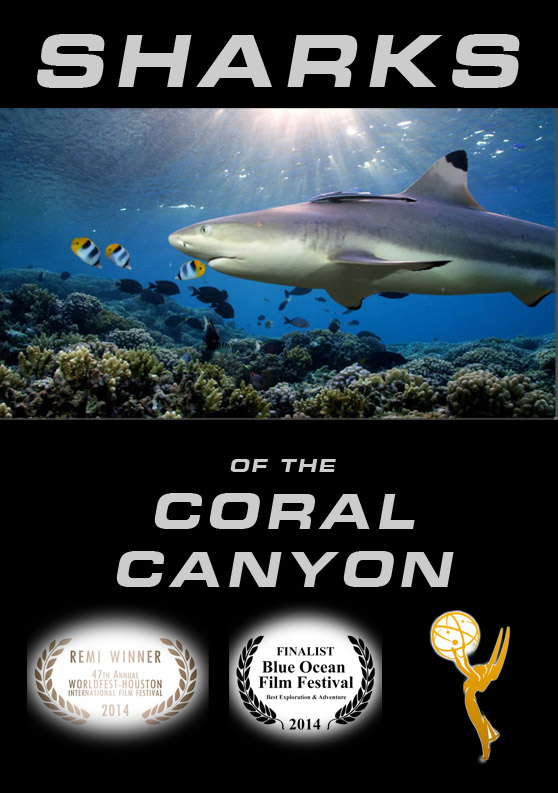 100 Sharks of the Coral Canyon