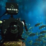 Nikonos RS - Tom Lowe - 1