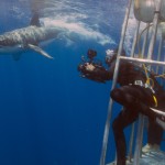 Nikonos RS - Tom Lowe - 4