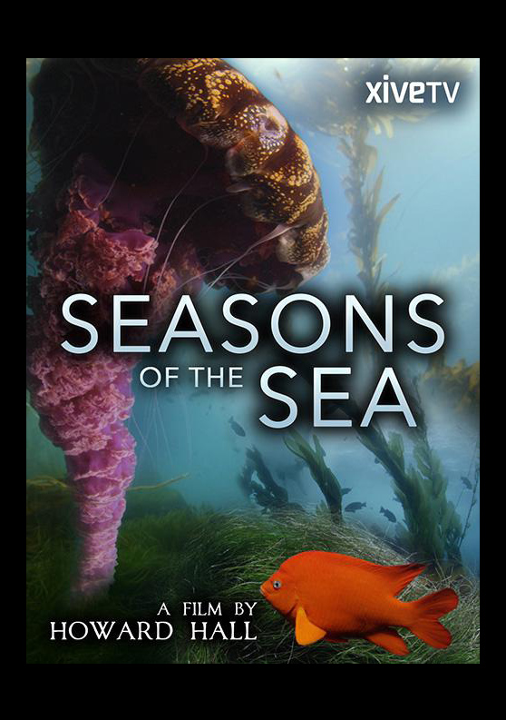 004 Seasons of the Sea