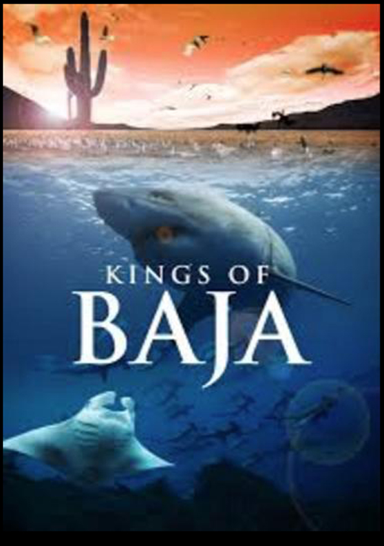 002 Kings of Baja