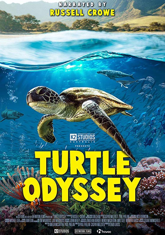 Turtle Odyssey