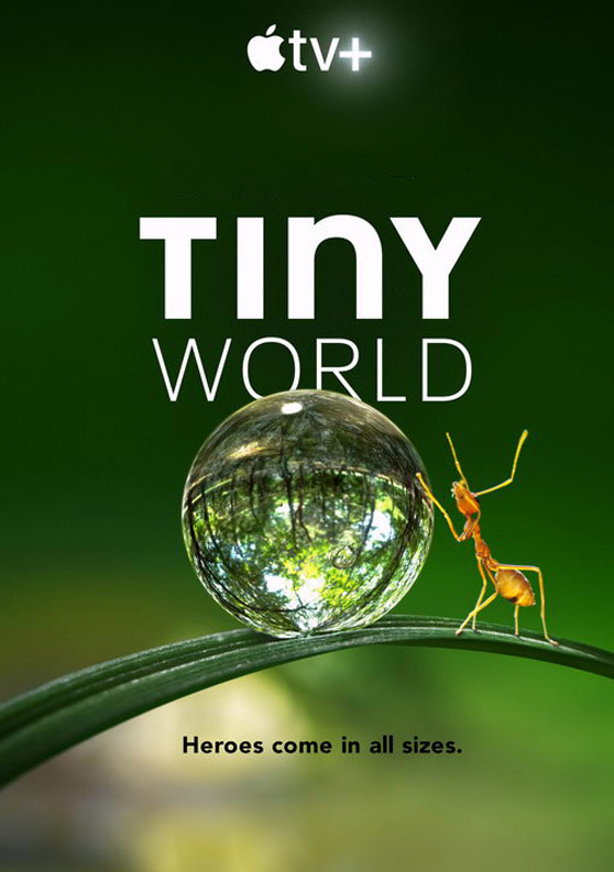 TInY WORLD