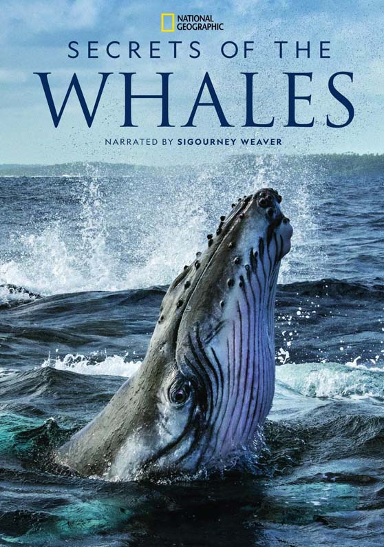 Secrets Of The Whales Disney NatGeo